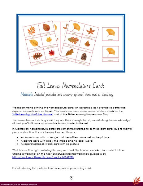 Fall into Learning Activity Pack